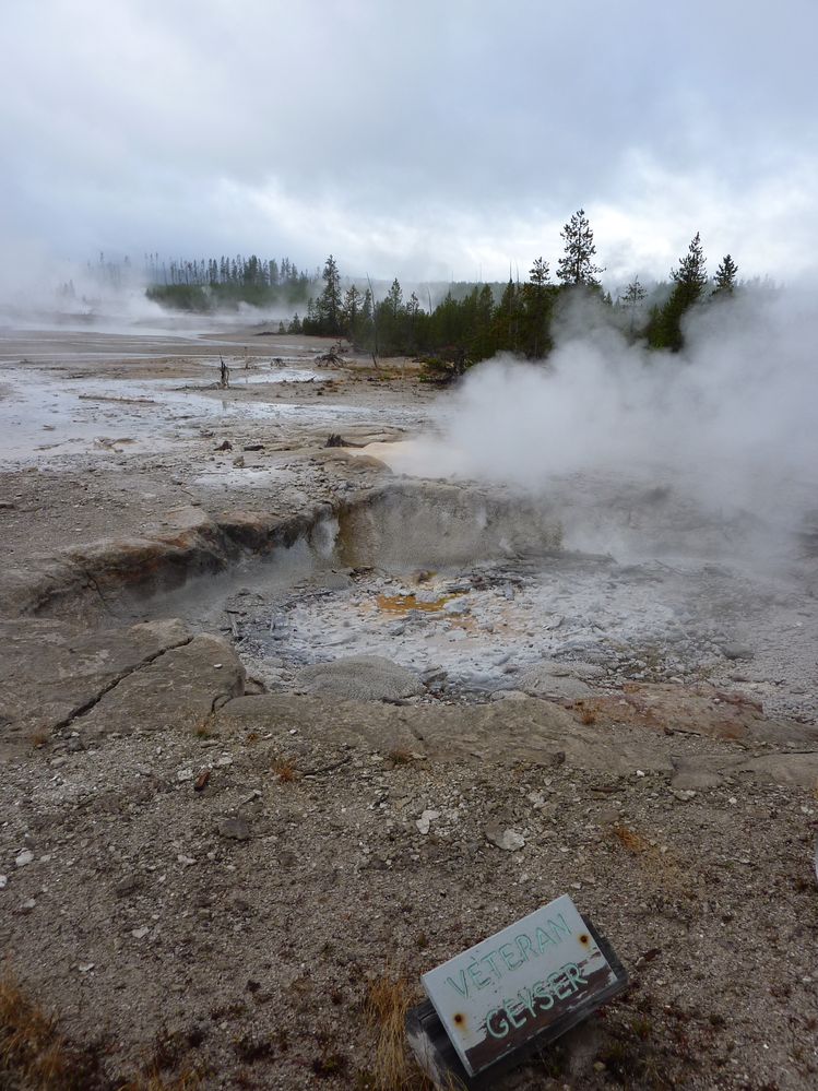 Yellowstone Norris Geyser Veteran Geyser (3).JPG